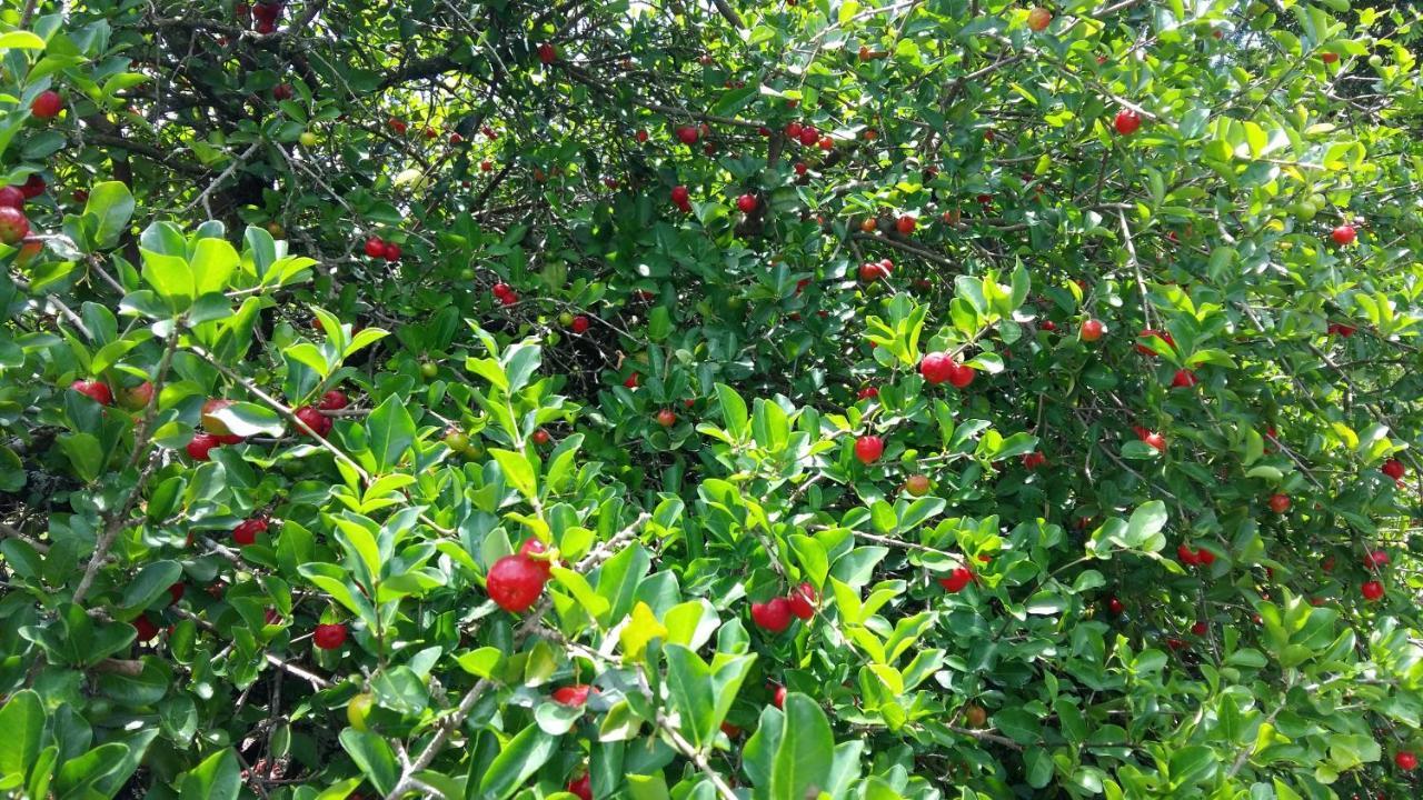 Rancho Litoral Buzios 빌라 외부 사진